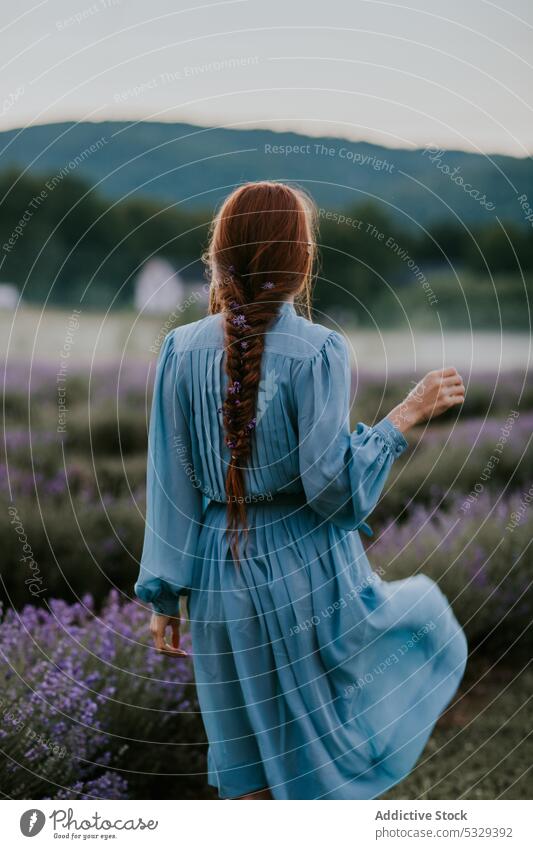 Anonyme Frau im Kleid auf einer Wiese Blume Lavendel Natur Blüte Gras Feld Pflanze Blütezeit Sommer Flora Harmonie Landschaft rote Haare Rotschopf Aroma ruhen