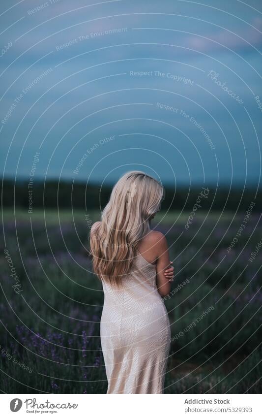 Unbekannte Frau im Feld stehend Wiese Natur Gras Abend blond Sonnenuntergang feminin Sommer Kleid sich[Akk] entspannen jung friedlich ruhen Rotschopf Harmonie