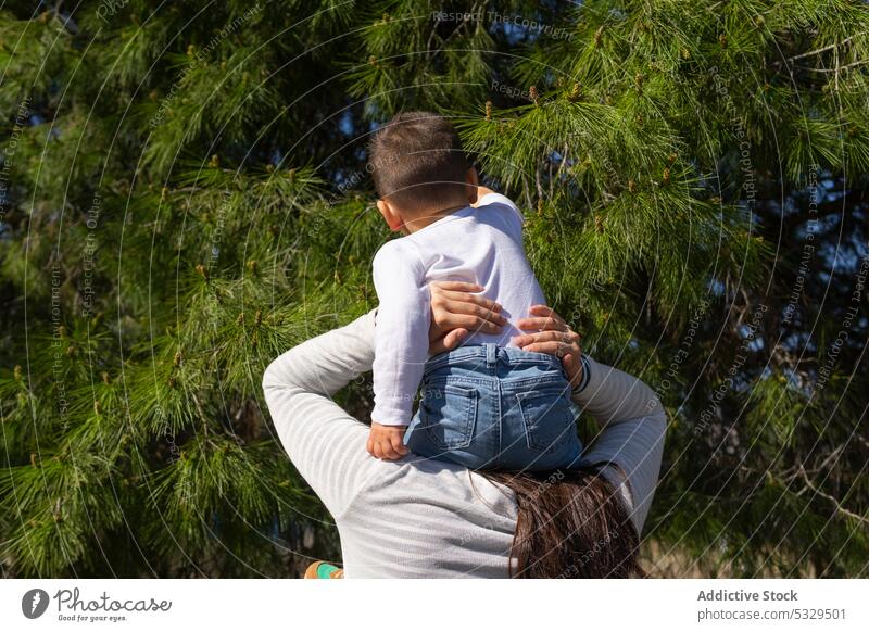 Anonyme Mutter, die ihren Sohn auf den Schultern trägt, auf dem Land Frau Junge führen berühren nadelhaltig Baum Ast Natur erkunden Kind Kleinkind niedlich