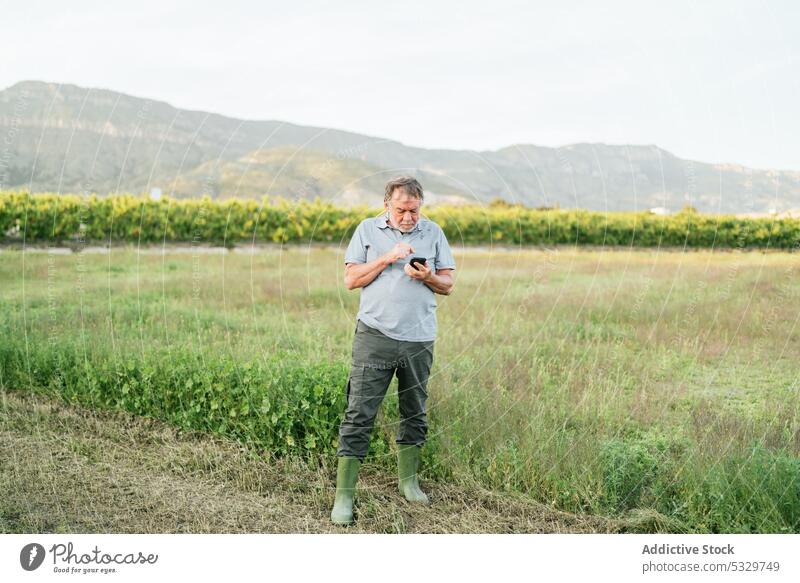 Seriöser reifer Mann surft auf dem Smartphone in der Landschaft im Sonnenlicht Landwirt Browsen Hügel Fokus Feld benutzend Natur Technik & Technologie Ackerbau