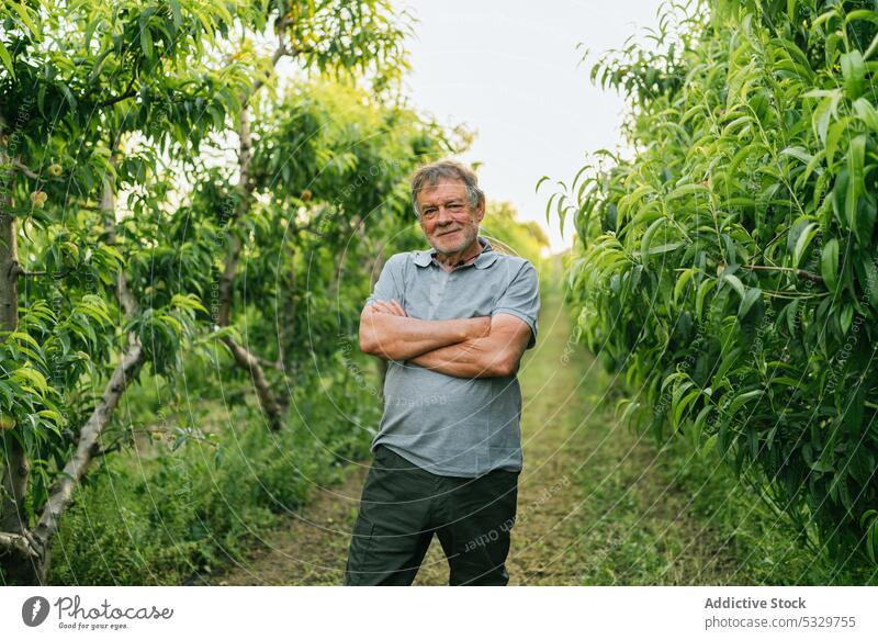 Zufriedener reifer Landwirt mit verschränkten Armen in der Landschaft stehend Mann Garten Lächeln die Arme verschränkt Pflanze Ackerbau Kleinunternehmen Porträt