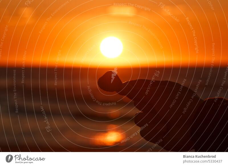 Sonnenuntergang am Meer mit Silhouette einer Hand die eine Muschel ins Licht hält. Sonnenuntergang Meer Sonnenuntergangshimmel Sonnenlicht Außenaufnahme Himmel