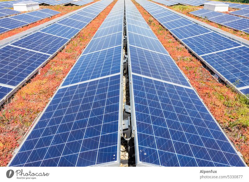 Solar Symmetrie Photovoltaik Erneuerbare Energie Solarenergie Photovoltaikanlage Energiewirtschaft Sonnenenergie nachhaltig Energiegewinnung Nachhaltigkeit