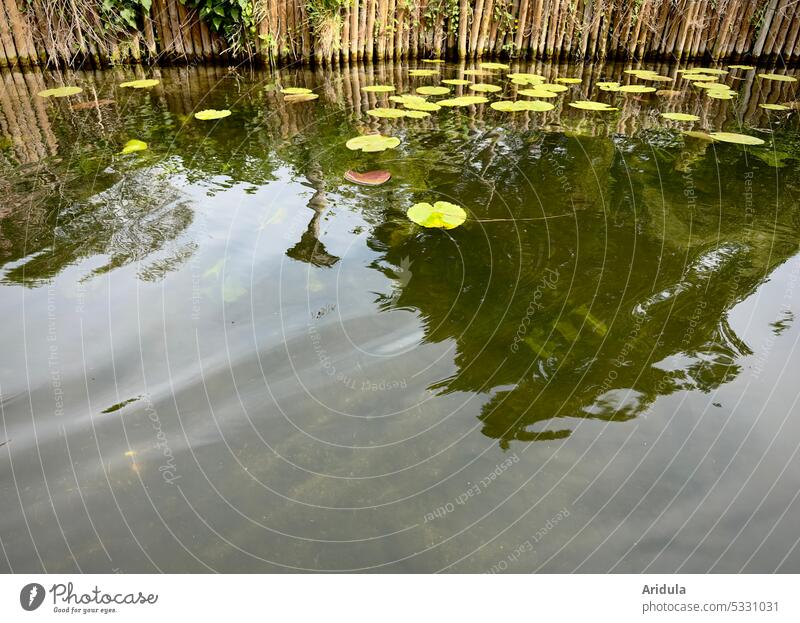 See mit Seerosenblättern und befestigtem Ufer Wellen Wasser Spiegelung Teich Wasserpflanze Natur
