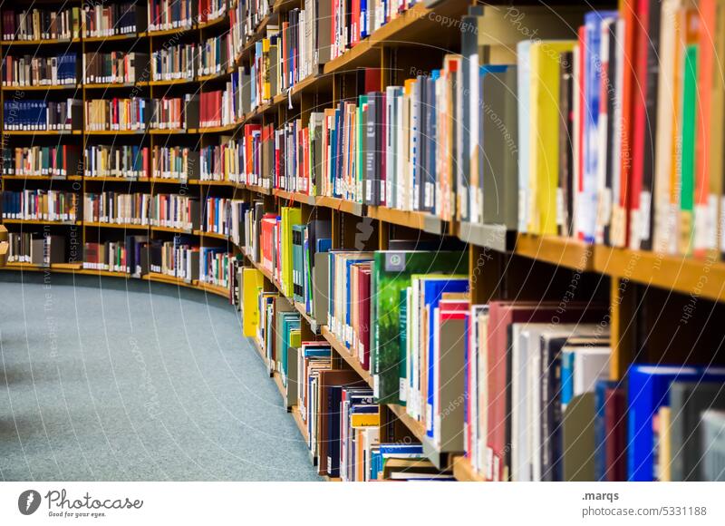 Bibliothek Studium bücher Bücherregal lesen Bildung Wissen Information lernen Weisheit Büchersammlung Wissenschaften Lesestoff Literatur viele Schule