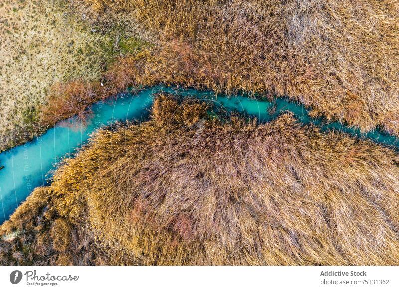 Kurviger Fluss, der inmitten trockener Bäume in der Natur fließt Wald Herbst Baum Bach Landschaft spektakulär Wälder fallen malerisch türkis fließen wild