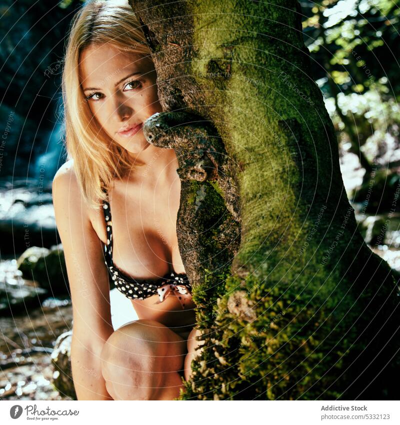 Frau in Badekleidung sitzt in der Nähe von Baum Badebekleidung BH sich[Akk] entspannen Kofferraum schön attraktiv Natur sinnlich sexy Model Pflanze Badeanzug