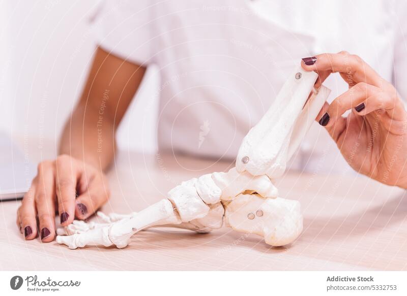 Crop Arzt mit Fuß Struktur Mockup in der Klinik Frau zeigen Knochen medizinisch Medizin Uniform Krankenhaus professionell Präsentation Job Spezialist Attrappe