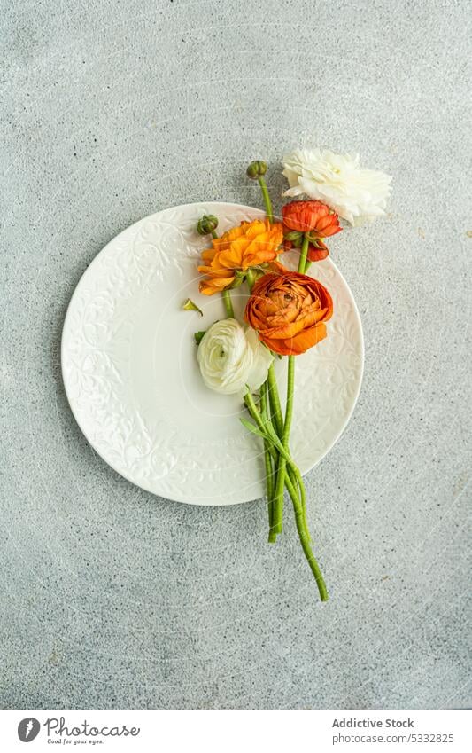 Gedeckter Tisch mit Blumen der Saison auf Betonhintergrund geblümt Ranunculus Einstellung Hintergrund schön Besteck dunkel tagsüber Abendessen Essgeschirr Essen