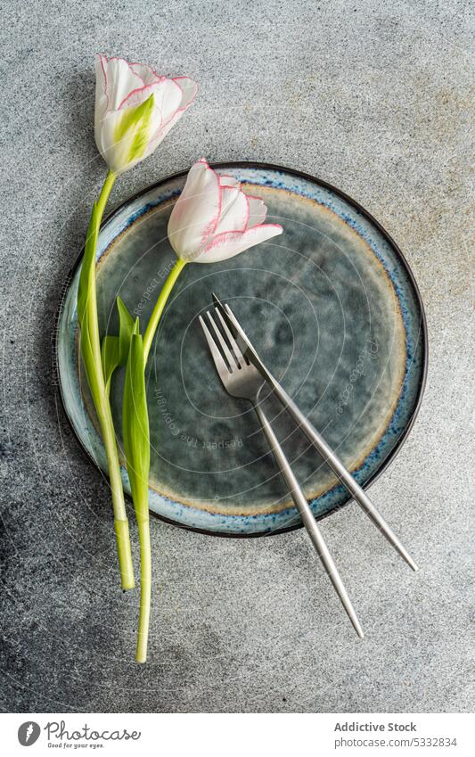 Gedeckter Tisch mit Blumen der Saison auf Betonhintergrund Tulpe Kulisse Hintergrund Essgeschirr schön Keramik Besteck tagsüber Abendessen Essen festlich