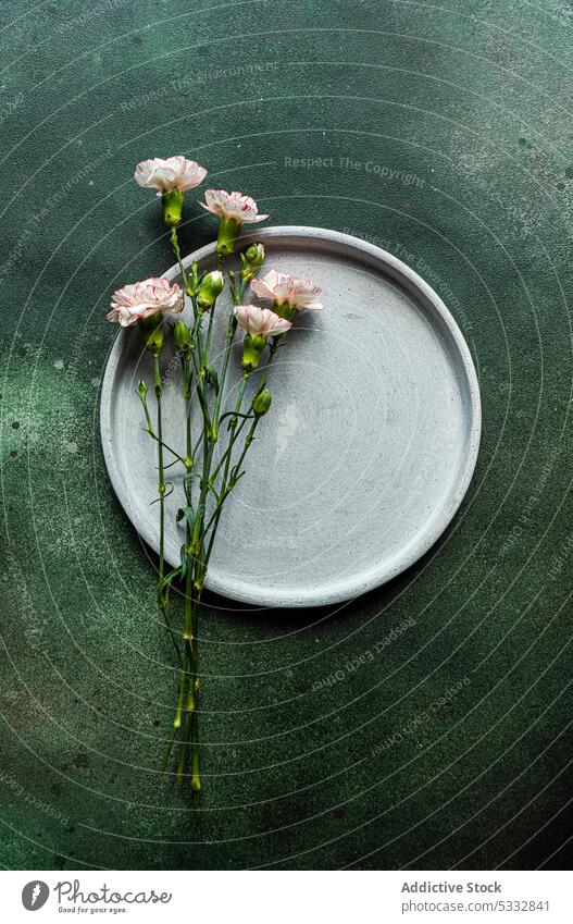 Gedeckter Tisch mit Blumen der Saison auf Betonhintergrund Nelke Hintergrund schön Keramik tagsüber Abendessen Essgeschirr Essen festlich geblümt Lebensmittel
