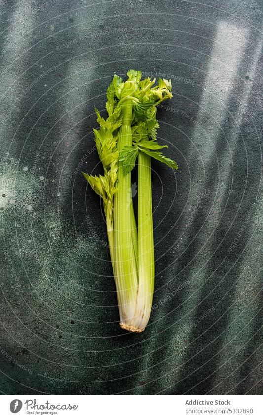 Frisches rohes Selleriegemüse Lebensmittel Gemüse frisch Blätter Hintergrund Beton Koch Essen zubereiten Diät essen Fasten Gesundheit Kraut Bestandteil Keton