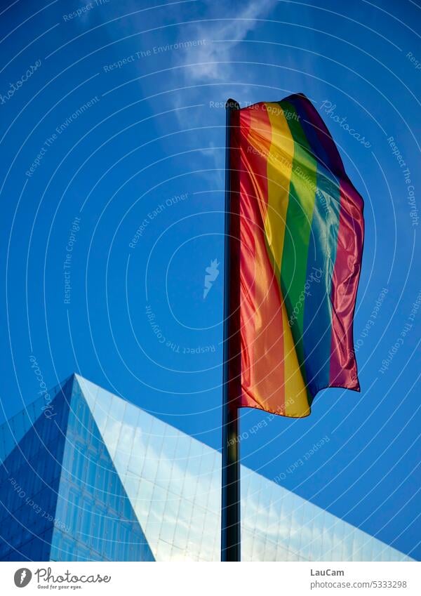 Es lebe die Vielfalt! Regenbogenfahne regenbogenfarben Diversität Freiheit Regenbogenflagge Gleichstellung Toleranz Symbol Homosexualität Transgender lgbtq