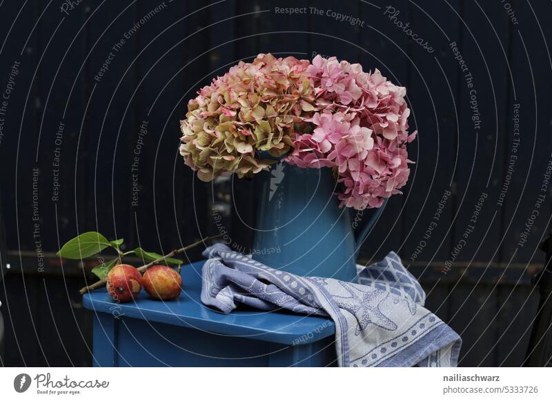 Stillleben mit Hortensien schön Pflaumenblatt idyllisch Idylle blau rosa Holz retro Blume Tisch Garten Stuhl Blüte Frühlingsgefühle Romantik rein Handtuch