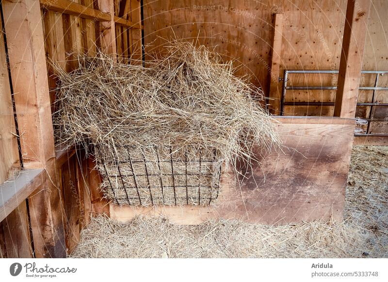 Noch eine | Nadel im Heuhaufen Stall Futter Tiere Schafstall Landwirtschaft Bauernhof Stroh Krippe Futterkrippe Holz Unterstand