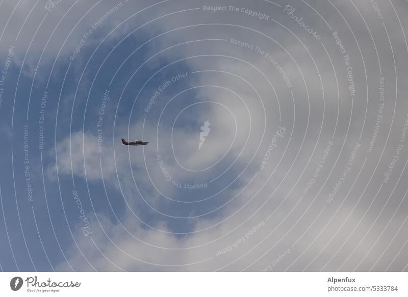 MainFux | Into Darkness Flugzeug Wolken Himmel Luftverkehr fliegen Flügel Tragfläche Freiheit Regenwolken Außenaufnahme Menschenleer Verkehrsmittel blau