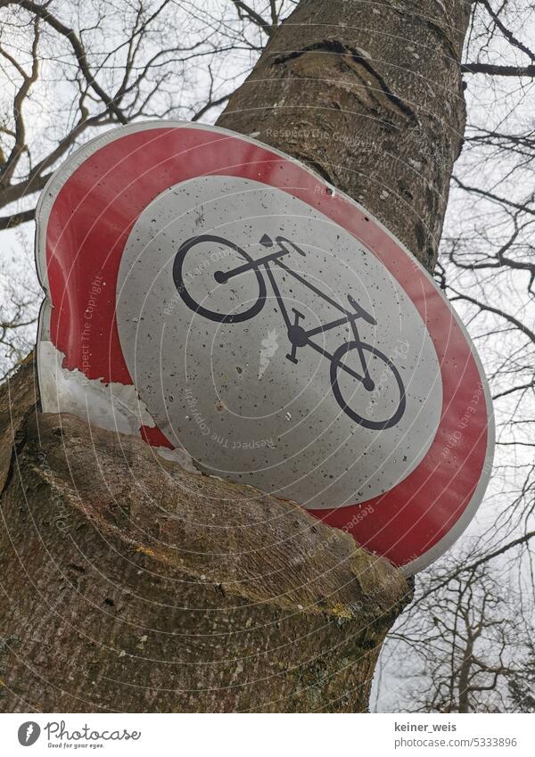 Baum frisst Schild auf dem das Fahrradfahren verboten ist und ein Fahrradverbot im Wald geht gar nicht Verkehrszeichen Verkehrsschild Baumrinde Fußgängerweg