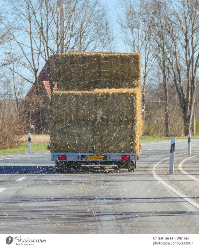Da fährt sie hin, die | Nadel im Heuhaufen Heuballen Tierfutter Einstreu Landstrasse Strohballen transportieren Anhänger Transporter Landwirtschaft Frühling
