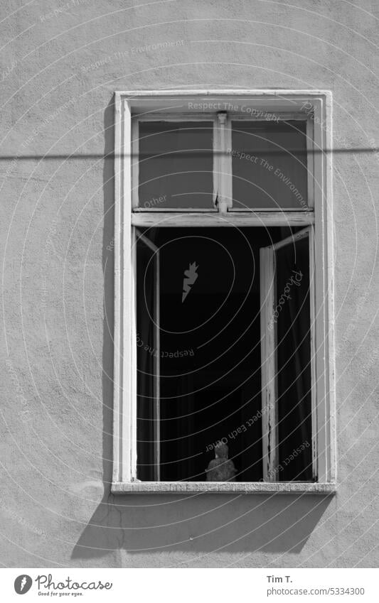 ein offenes Fenster mit kleiner Statue s/w Berlin Mitte Außenaufnahme Stadt Menschenleer Stadtzentrum Architektur Schwarzweißfoto Tag Hauptstadt Bauwerk Gebäude