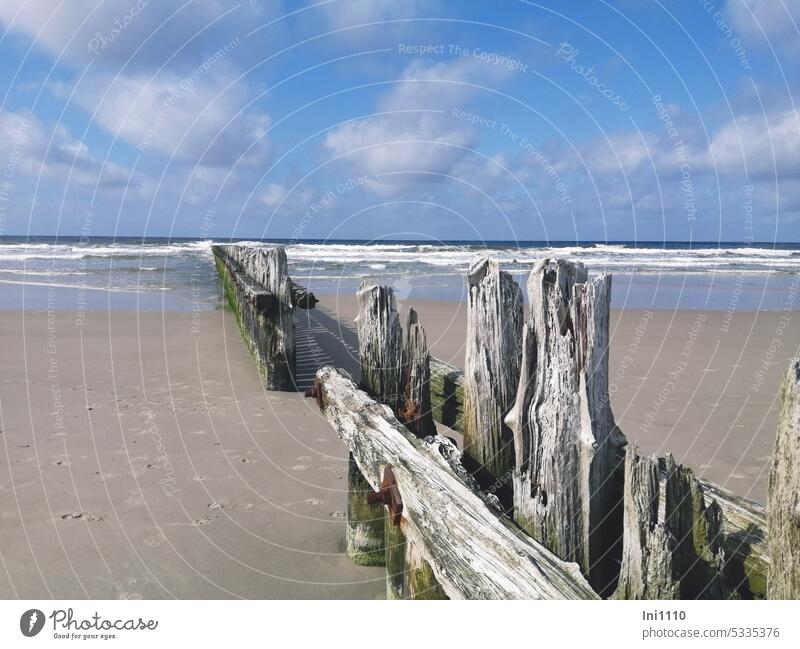 alte Spundwände am Strand Natur Landschaft Sand Fußspuren Meer Algen schönes Wetter Sonnenschein Horizont Wellen Wolkenhimmel Ebbe Holzbohlen zersplittert