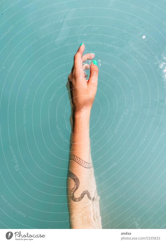 Tätowierter Arm in türkisem Wasser Hand anmutig Tattoo Schlange tätowiert Nagellack Frau feminin Türkises Wasser Mensch Tag Finger Haut Anmut