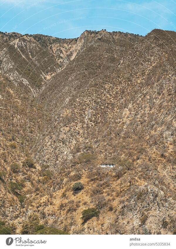 Steppe in Mexiko mit einsamen, weißen Haus menschenleer weißes Haus allein Berge Hügel Graslandschaft Zentralamerika Mittelamerika Landschaft Natur Hitze