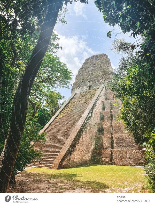 Maya Tempel im Urwald in Guatemala Dschungel Natur Geschichte Azteken Tikal Flores Wahrzeichen Architektur alt antik historisch Tourismus Ruine Stein