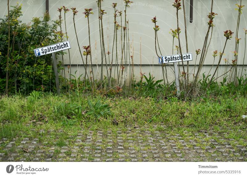 Spätschicht kommt noch Schild Parkplatz Gras Pflastersteine Gebüsch Pflanzen parken Schilder & Markierungen Hinweisschild Wand Fassade Menschenleer
