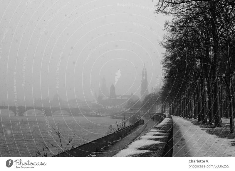 In Dresden schneit´s! Promenade entlang der Elbe Schnee schneien Schneeflocken Winter Schneefall kalt winterlich Winterstimmung Wintertag Wetter weiß