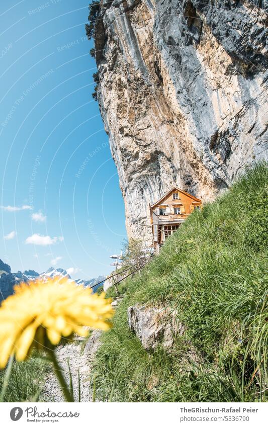 Haus im Fels gebaut mit Blume im Vordergrund Felsen Schweiz Appenzellerland äscher Stein wandern beliebt touristisch Außenaufnahme Tourismus Berge u. Gebirge