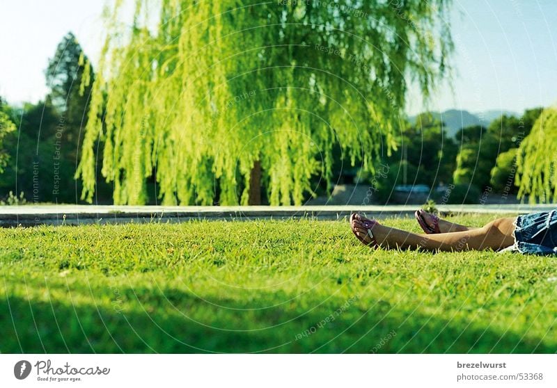 Flip-Flops im Park Sandale Flipflops Kleid Frau Sommer grün Trauerweide Sonnenuntergang Wiese Gras Argentinien Jeansrock Ferien & Urlaub & Reisen ruhig Erholung