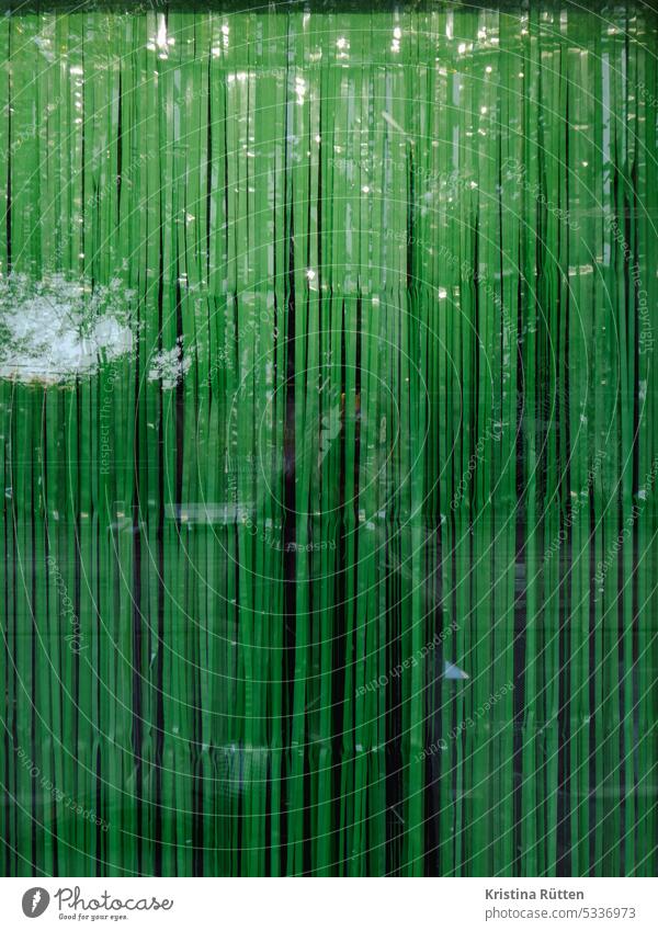 fliegenvorhang in grün streifenvorhang kunststoff plastik sichtschutz sonnenschutz insektenschutz türbehang glastür eingang spiegelung reflexion reflektieren