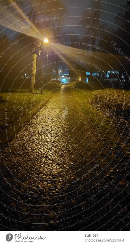 gepflasterter Gehweg bei Nacht mit gelb leuchtender Straßenlaterne NAcht Straßenpflaster Kleinpflaster Regen nass geradeaus leer Wiese BAum Berlin tegeler hafen