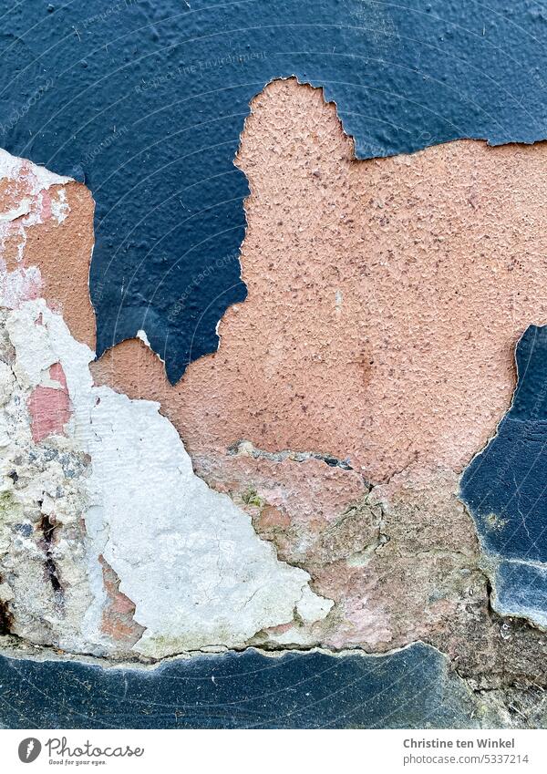 Detailansicht einer Mauer mit Rissen und abblätternder Farbe alt Verfall Strukturen & Formen Zahn der Zeit verfallen kaputt abstrakt Schaden Wand