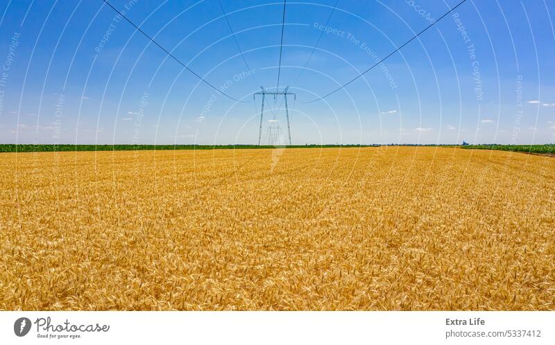 Luftaufnahme über landwirtschaftliche Felder im Sommer mit Getreide, Weizen ist reif für die Ernte oben Antenne Ackerbau Kabel Müsli Konstruktion Land geteilt