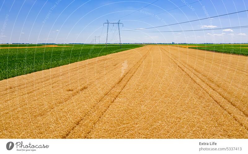 Luftaufnahme über landwirtschaftliche Felder im Sommer mit Getreide, Weizen ist reif für die Ernte oben Antenne Ackerbau Kabel Müsli Konstruktion Land geteilt