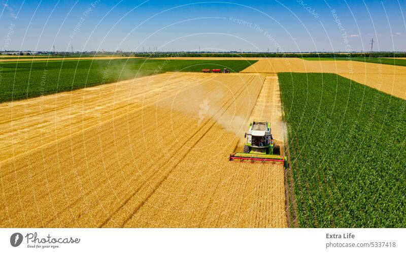 Luftaufnahme auf Mähdrescher, Erntemaschine, erntereifes Getreide oben Antenne Ackerbau Müsli Land Bodenbearbeitung geschnitten trocknen Staubwischen staubig