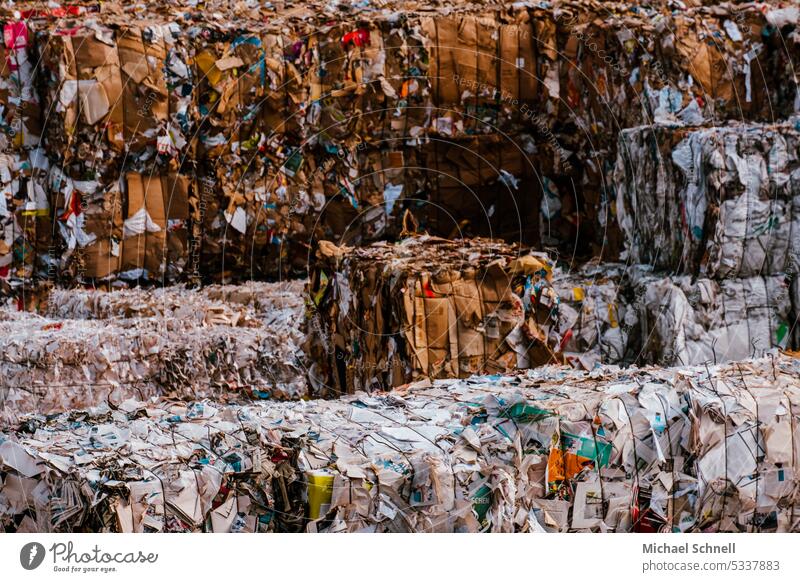 Papiermüll in einer Müllverwertungsanlage Recycling Müllentsorgung Abfall entsorgen Müllabfuhr Mülltrennung Umweltschutz nachhaltig