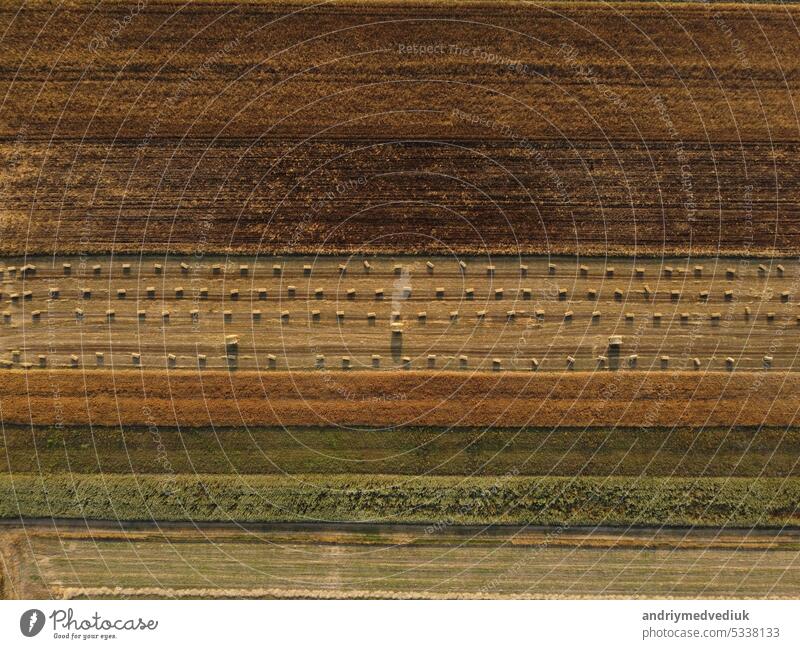Luftaufnahme und Draufsicht auf Weizenfelder. Schöne Natur Hintergrund. Ernte Ackerland Industrie Textur Technik & Technologie Sonne Frühling Feld Ackerbau