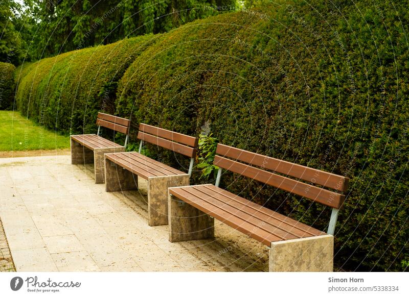 Sitzbänke vor runden Büschen Reihe nebeneinander Formation sitzen akkurat Strukturen & Formen aufgereiht Sitzreihe leer Symmetrie seriell Wiederholung grün