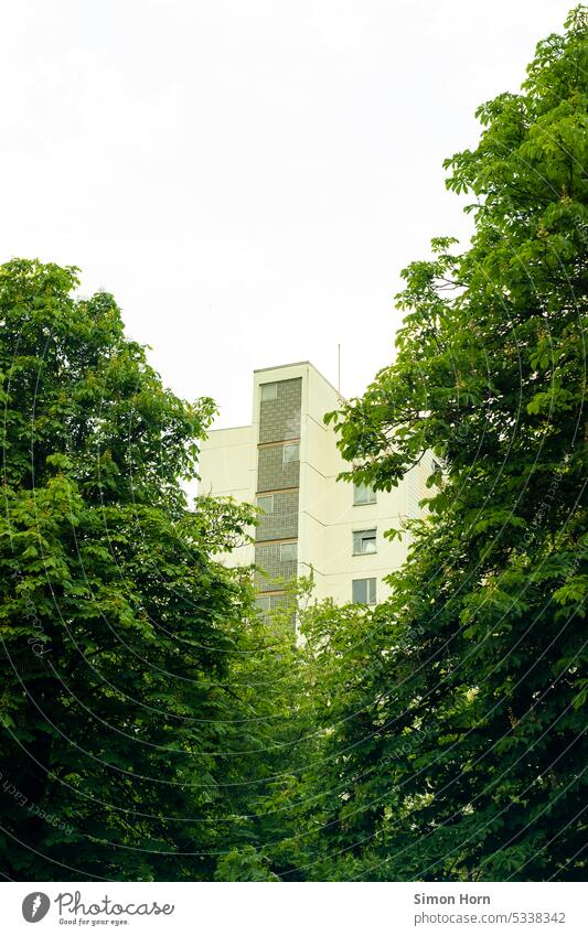 Hochhaus zwischen großen Bäumen Wohnqualität Höhe Mehrwert Versteck Nutzwert versteckt Gebäude nebeneinander Nebeneinanderstellung Interaktion nach oben