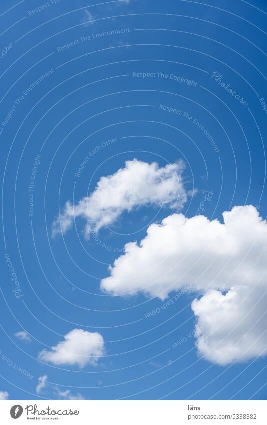 Wolkenspiel Schönes Wetter Himmel Blauer Himmel blau Menschenleer Tag Sonnenlicht Farbfoto Textfreiraum oben