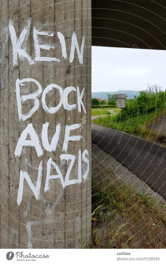 Titel: siehe Foto Kein Bock auf Nazis Grafik u. Illustration Grafitto Beton Brücke Strukturen & Formen Text AfD Politik Rechtsextremismus Gesellschaft