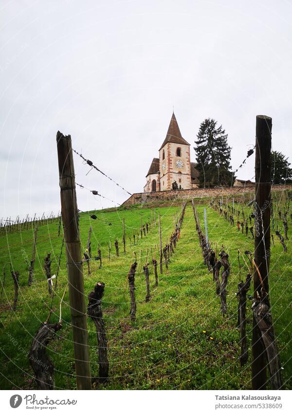 Blick auf Hunawihr mit der befestigten Kirche Saint-Jacques-le-Majeur und den Weinbergen vom darunter liegenden Weinberg aus gesehen im Elsass, Frankreich, im Frühling an einem bewölkten Tag