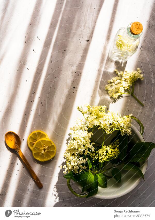 Holunderblüten in einem Kochtopf und Zutaten für einen selbstgemachten Sirup. Draufsicht. Zitrone Kochlöffel Sommer Getränk Glasflasche kalt Tisch grau gelb