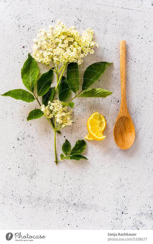Ein Zweig Holunderblüten, Zitronen und ein Kochlöffel auf einem grauen Tisch. Draufsicht. Sirup selbstgemacht Zutaten Vorbereitung Sommer gelb Blüte frisch
