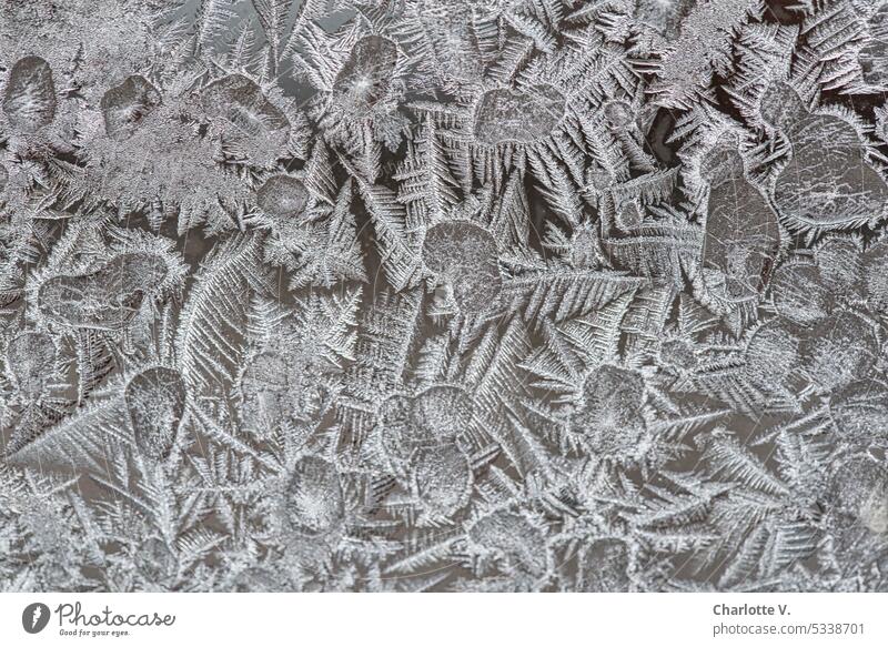 Gegenüberstellung | Spitz und rund Eiskristalle Winter Frost kalt gefroren frostig winterlich Nahaufnahme Kälte Eisblumen Jahreszeiten Kristallstrukturen