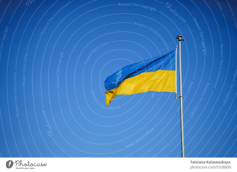 Gelb-blaue Flagge der Ukraine im Wind vor dem Hintergrund eines wolkenlosen Himmels Fahne Ukrainer Land Symbol Zeichen Europa gelb winken Mast national Nation