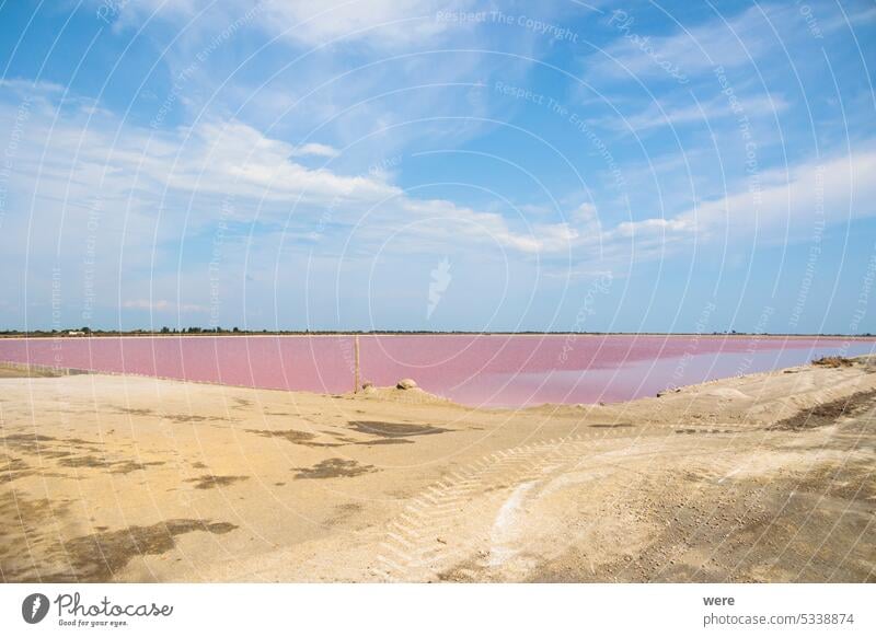 Blick auf die rosafarbenen Salinen der Salzgewinnung in der Nähe der Stadt Aigues-Mortes in der Region Camarque in Frankreich camarque Canal du Midi