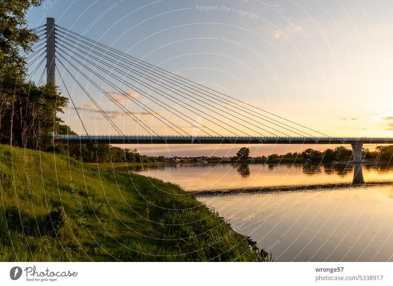 Abendstimmung an der Elbe bei Schönebeck Fluss Flussufer Dämmerung Brücke Phylonenbrücke Spiegelung Spiegelung im Wasser Reflexion & Spiegelung Außenaufnahme